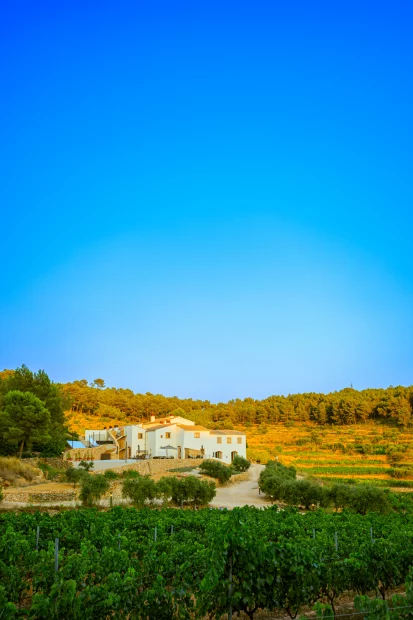 view of the blue skies looking towards the best vineyard wedding venue in Barcelona Spain Masia Cabellut