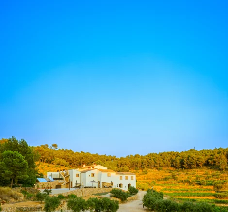 view of the blue skies looking towards the best vineyard wedding venue in Barcelona Spain Masia Cabellut