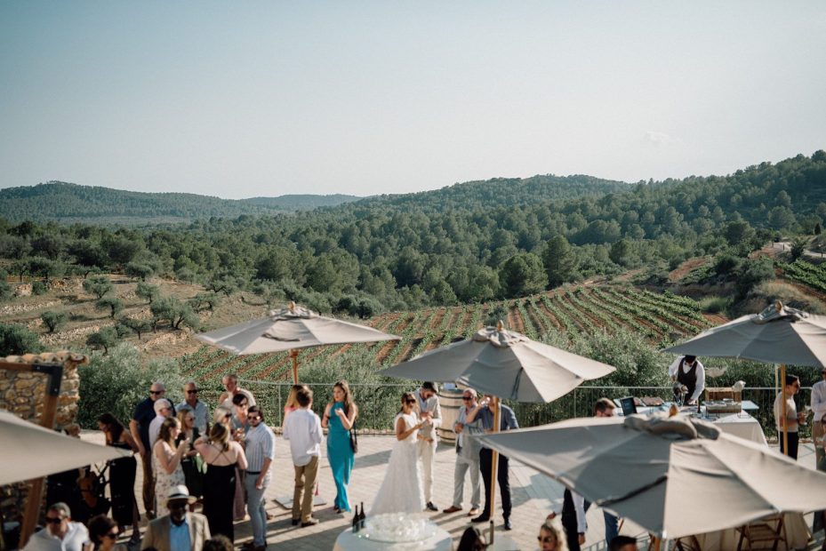Wedding guests mingling by the pool with magnificient views over vineyard