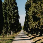 Entrance driveway at wedding venue Relais Roncolo 1888, Italy