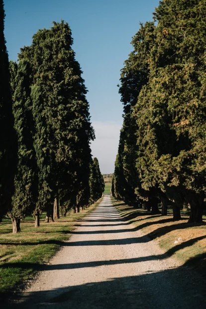 Entrance driveway at wedding venue Relais Roncolo 1888, Italy