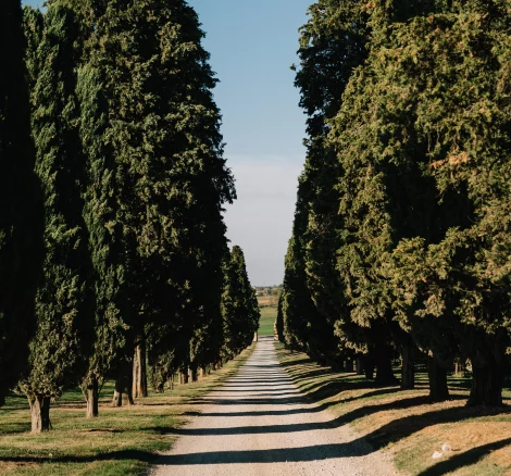Entrance driveway at wedding venue Relais Roncolo 1888, Italy