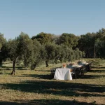 Image of long table in olive grove at wedding venue Finca La Concertista, Spain