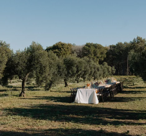 Image of long table in olive grove at wedding venue Finca La Concertista, Spain
