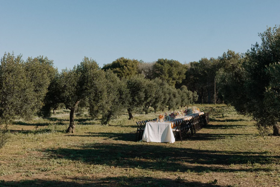 Image of long table in olive grove at wedding venue Finca La Concertista, Spain