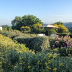 Villa Tirrena Wedding Venue In Italy