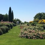 Villa Tirrena Wedding Venue In Italy